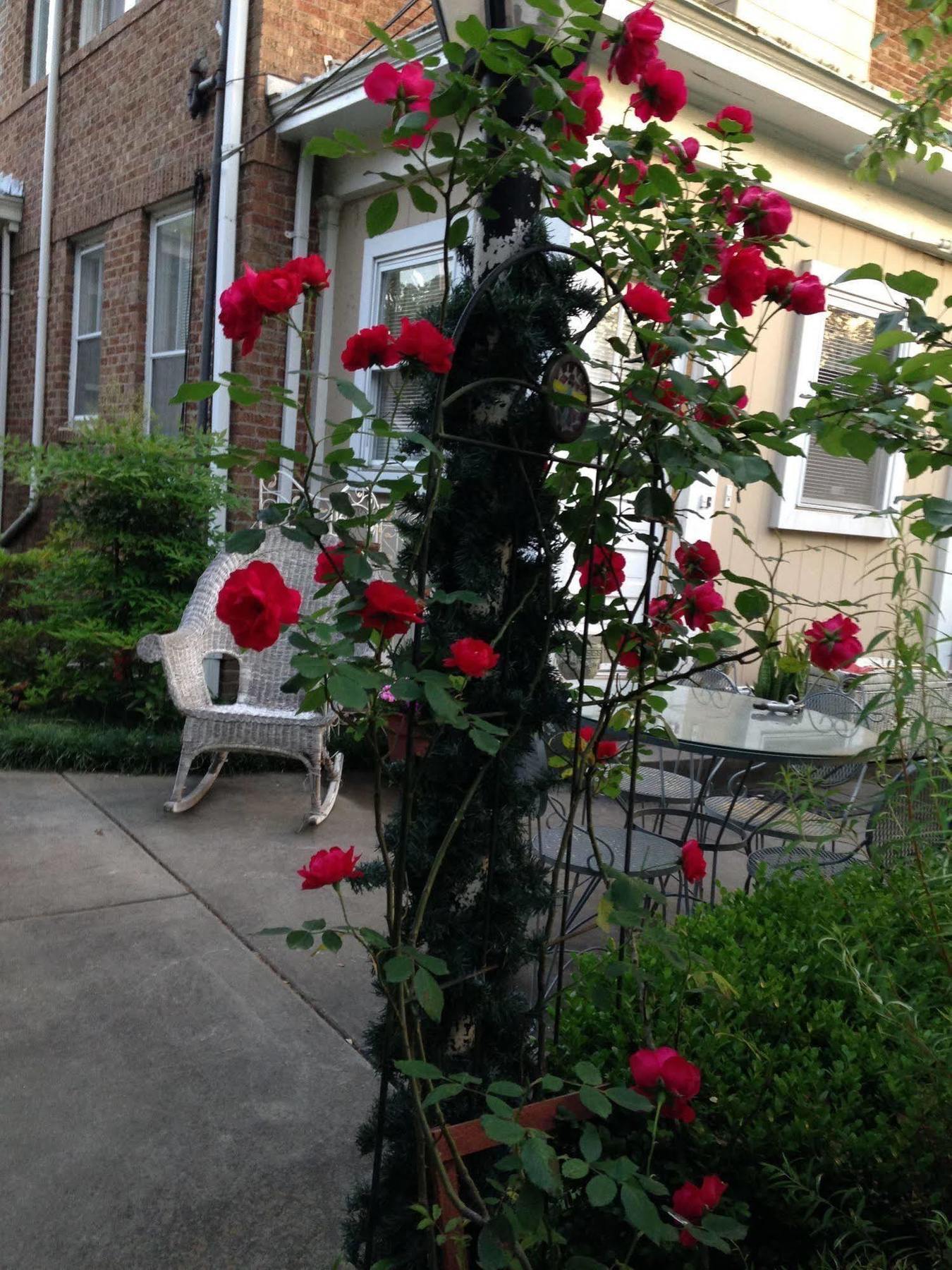 Port City Guest House Wilmington Exterior foto